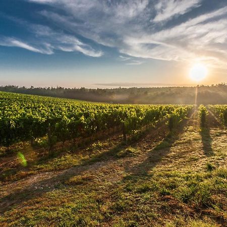 Il Palco Montepulciano, Vista Incredibile, 150Mt Da Piazza Grande Διαμέρισμα Εξωτερικό φωτογραφία