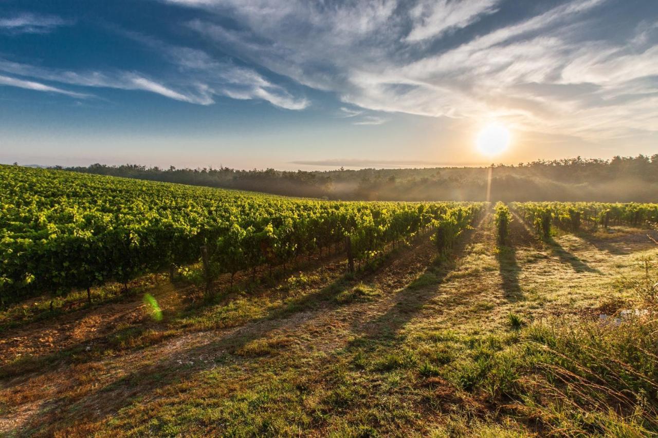 Il Palco Montepulciano, Vista Incredibile, 150Mt Da Piazza Grande Διαμέρισμα Εξωτερικό φωτογραφία